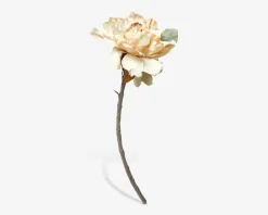 Hot Daells Bolighus Stilk Pæon cream H.40 cm Creme