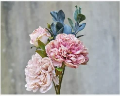 Best Daells Bolighus Stilk Pæon H.30 cm Rosa