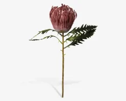 New Daells Bolighus Stilk Protea Lyserød H.42 cm