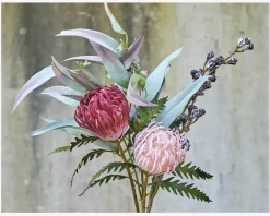 New Daells Bolighus Stilk Protea Lyserød H.42 cm