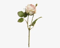 Sale Daells Bolighus Stilk Rose Lyserød H.44 cm