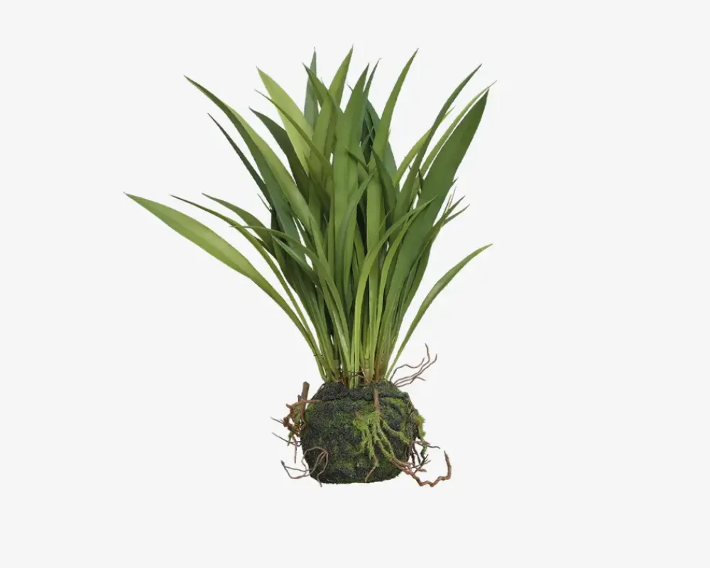 Daells Bolighus Sumpplante M.Rod H.30cm