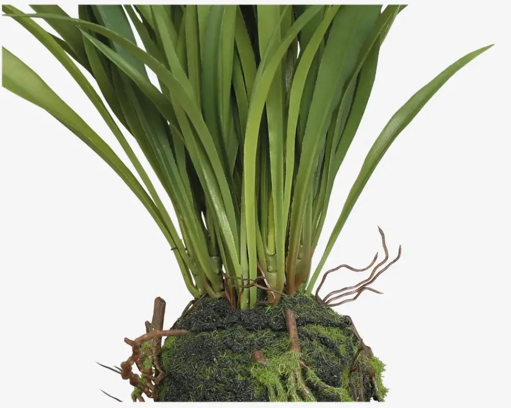 Daells Bolighus Sumpplante M.Rod H.30cm