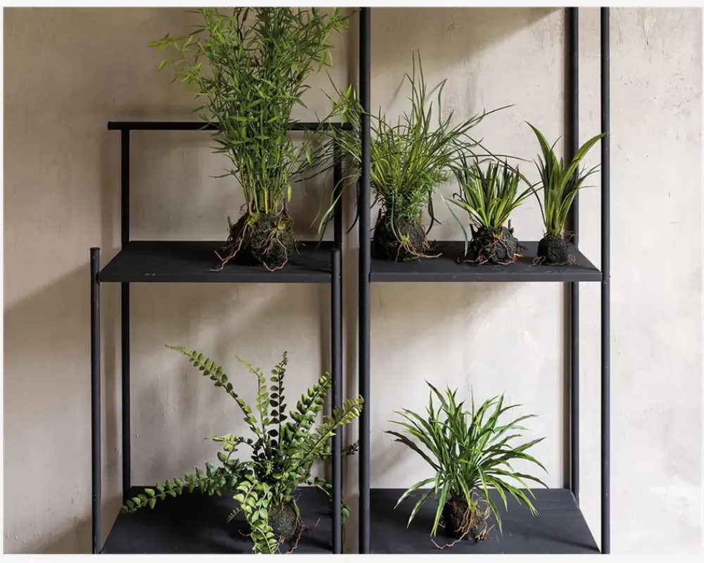 Daells Bolighus Sumpplante M.Rod H.30cm