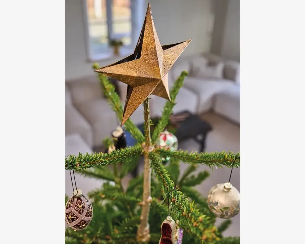 Online Daells Bolighus Topstjerne guld metal 25x3 cm