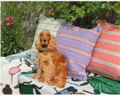 Online Daells Bolighus Udendørs Pude Lilla/Orange