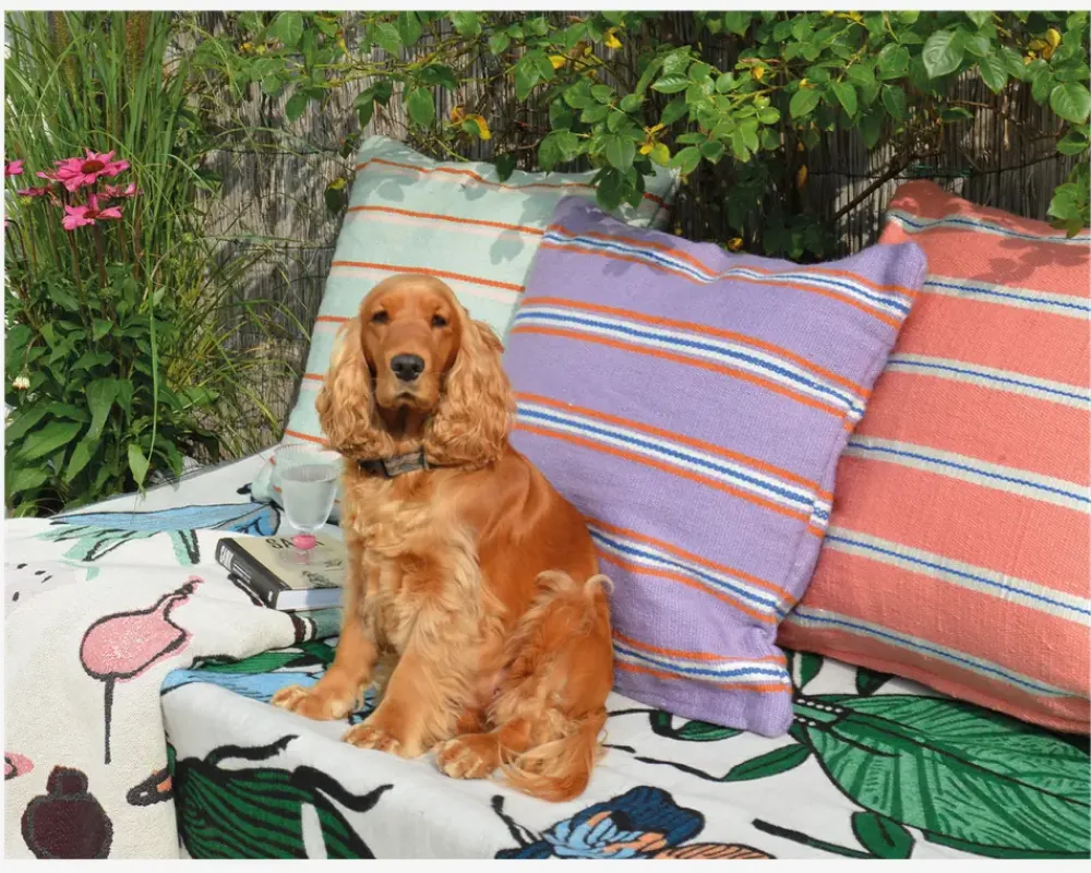 Online Daells Bolighus Udendørs Pude Lilla/Orange