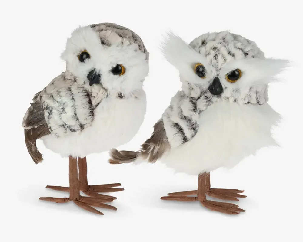 Sale Daells Bolighus Ugle Stående