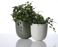 Clearance Daells Bolighus Urtepotteskjuler Amel hvid/cream 12x12 cm