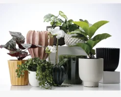 Clearance Daells Bolighus Urtepotteskjuler Ananas hvid H.16xØ.22 cm