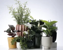 Outlet Daells Bolighus Urtepotteskjuler Flora grøn H.22 cm