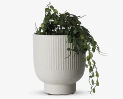 Sale Daells Bolighus Urtepotteskjuler sæt river cream H.17+22 cm