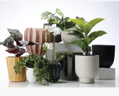 Sale Daells Bolighus Urtepotteskjuler sæt river cream H.17+22 cm