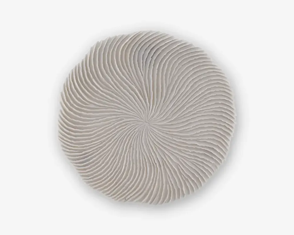 Daells Bolighus Vægdekoration sandsten hvid Ø.35 cm