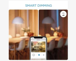 Daells Bolighus Wiz LED Strip Farve 1M Forlænger